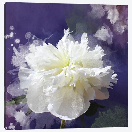 White Peony-Scents Of Heaven III Canvas Print #ORL441} by Irena Orlov Canvas Art