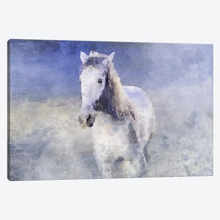 White Running Horse In The Fog Canvas Print #ORL444} by Irena Orlov Art Print