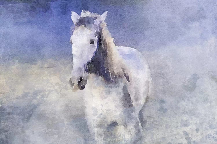 White Running Horse In The Fog