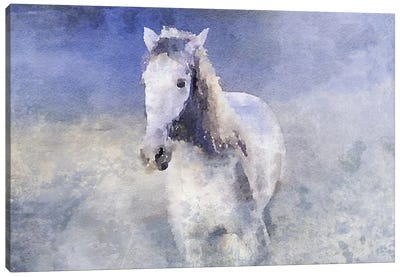 White Running Horse In The Fog Canvas Art Print - Perano Art