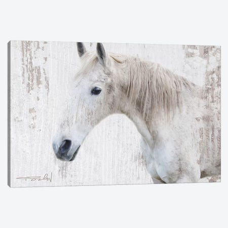 White Rustic Farmhouse Horse II Canvas Print #ORL445} by Irena Orlov Canvas Print
