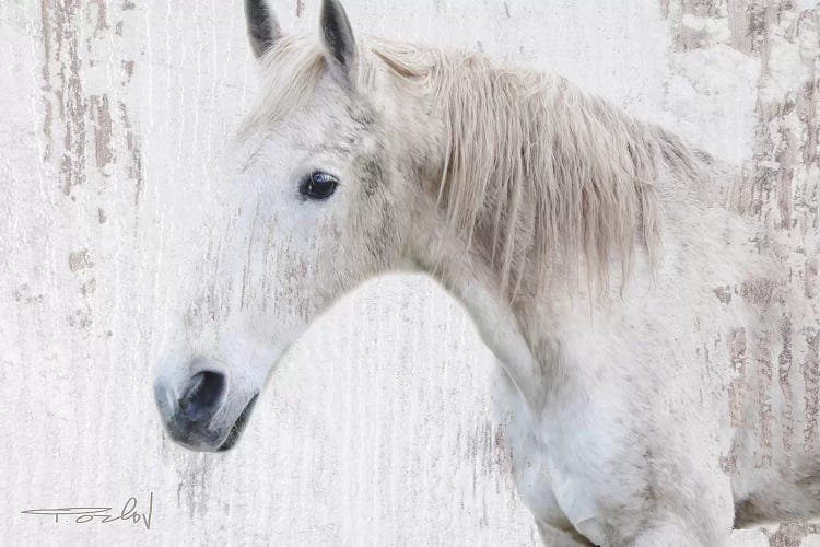 White Rustic Farmhouse Horse II