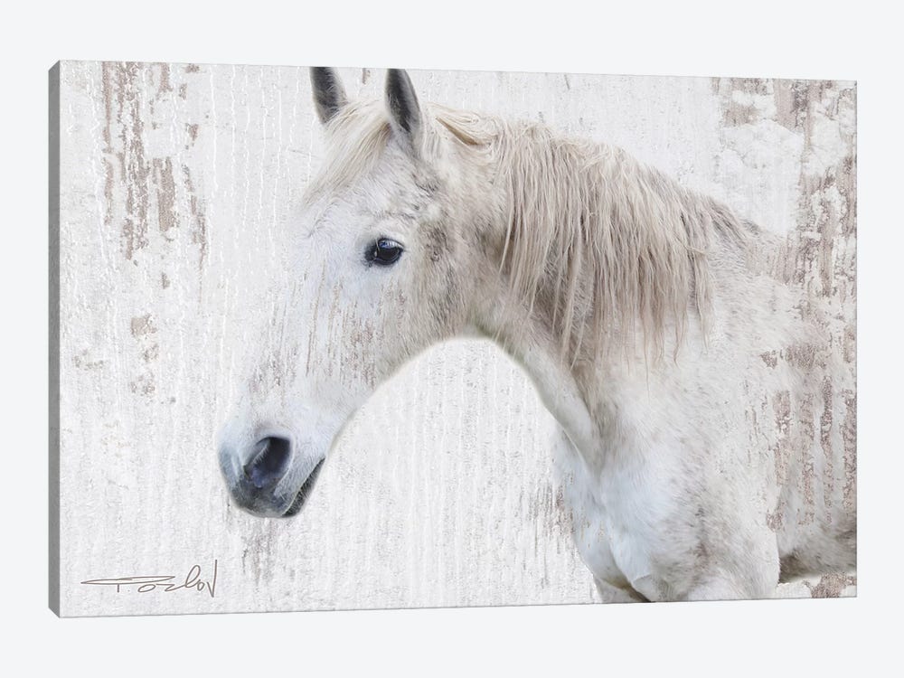 White Rustic Farmhouse Horse II by Irena Orlov 1-piece Art Print
