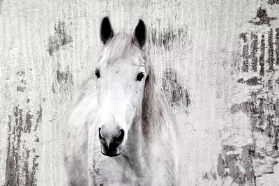 White Western Horse I by Irena Orlov framed wall art