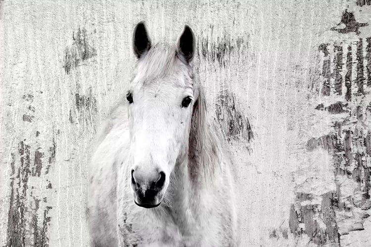 White Western Horse I