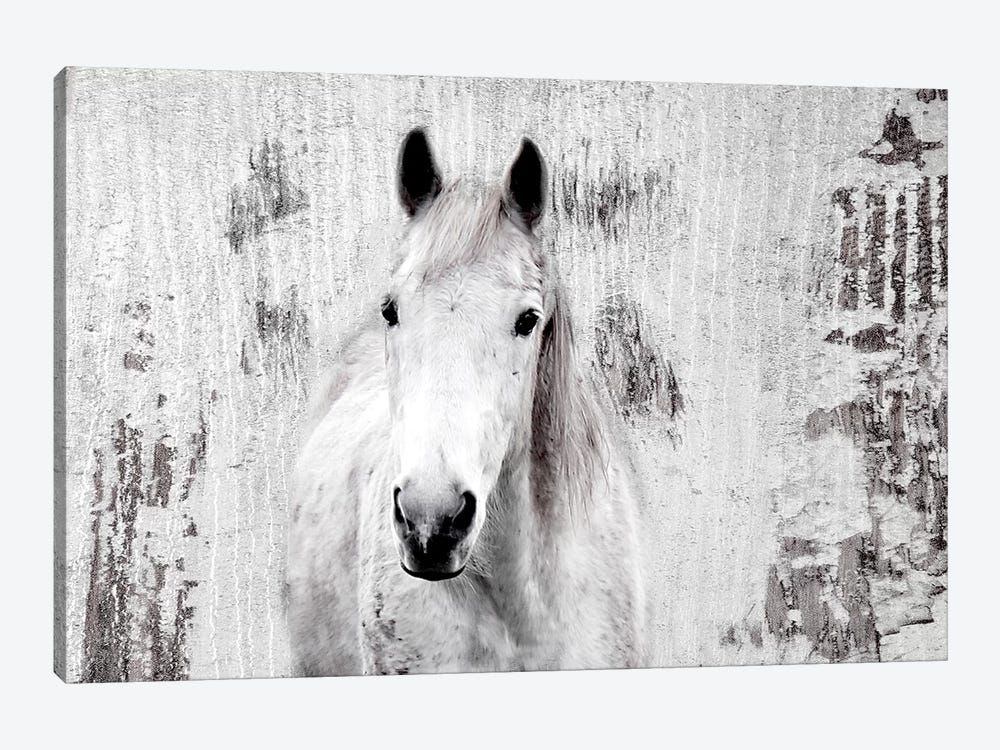 White Western Horse I by Irena Orlov 1-piece Canvas Art