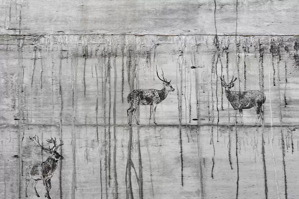 Irena Orlov: Wild Dears by Irena Orlov