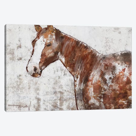 Your Horse II Canvas Print #ORL448} by Irena Orlov Canvas Artwork