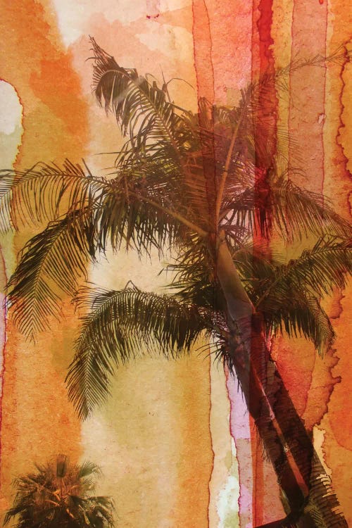 Palm Tree by Irena Orlov wall art