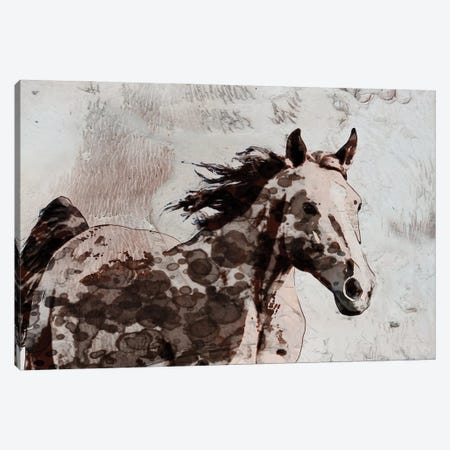 Winner Horse II Canvas Print #ORL458} by Irena Orlov Canvas Art Print