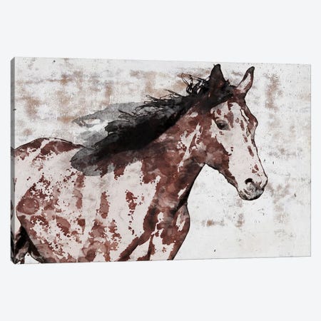 Winner Horse III Canvas Print #ORL459} by Irena Orlov Canvas Art Print