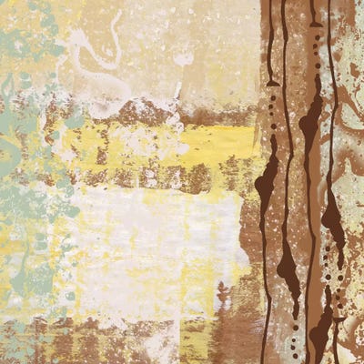 Pattern II by Irena Orlov framed wall art