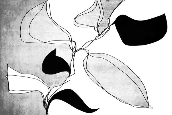 Black & White Florals: Abstract Bloom I-II by Irena Orlov