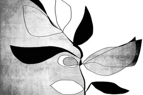 Black & White Minimalist Décor: Abstract Bloom II-IV by Irena Orlov