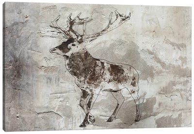 Brown Deer III Canvas Art Print - Irena Orlov