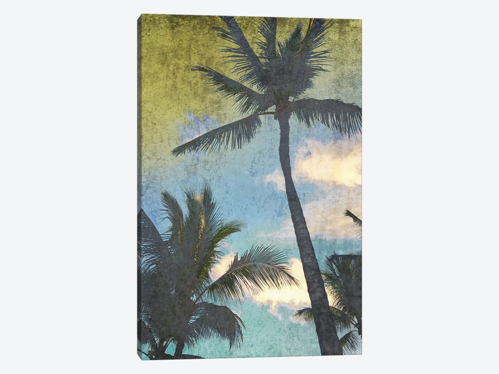 California Palms I-I by Irena Orlov 1-piece Canvas Print