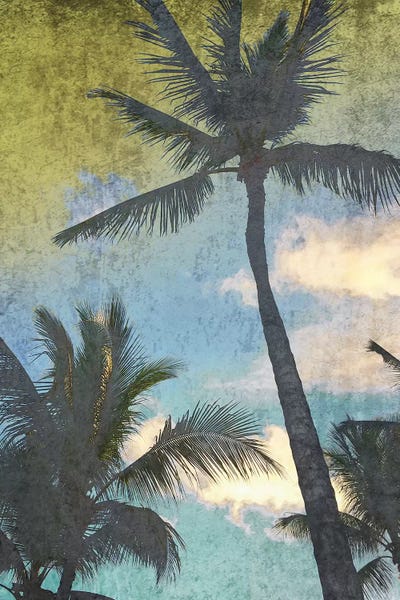 Irena Orlov: California Palms I-I by Irena Orlov