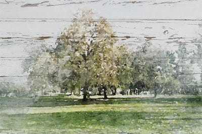 Dreamy Spot by Irena Orlov framed wall art