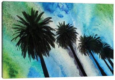 Santa Monica Palms Canvas Art Print