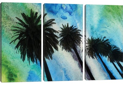 Santa Monica Palms Canvas Art Print - 3-Piece Tree Art