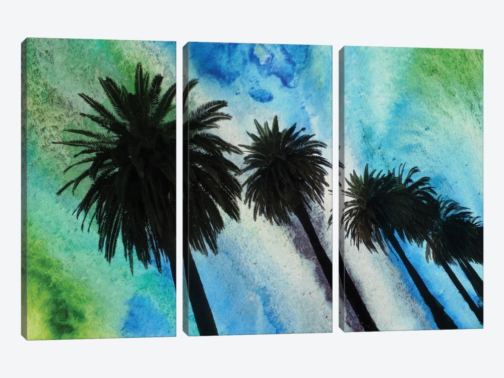 Santa Monica Palms by Irena Orlov 3-piece Canvas Print