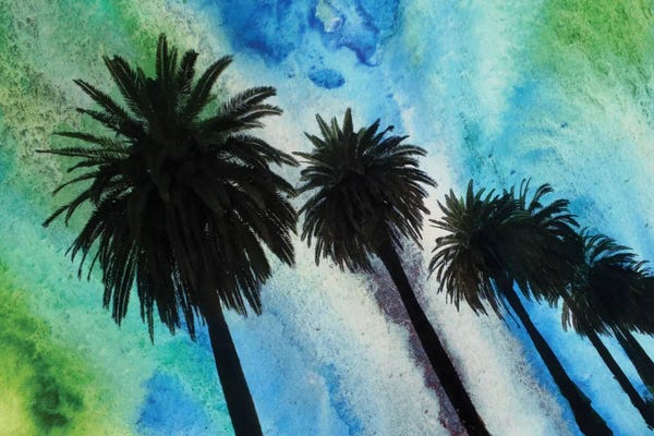 Santa Monica: Santa Monica Palms by Irena Orlov