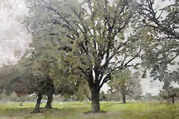 Magical Spring Forest by Irena Orlov wall art