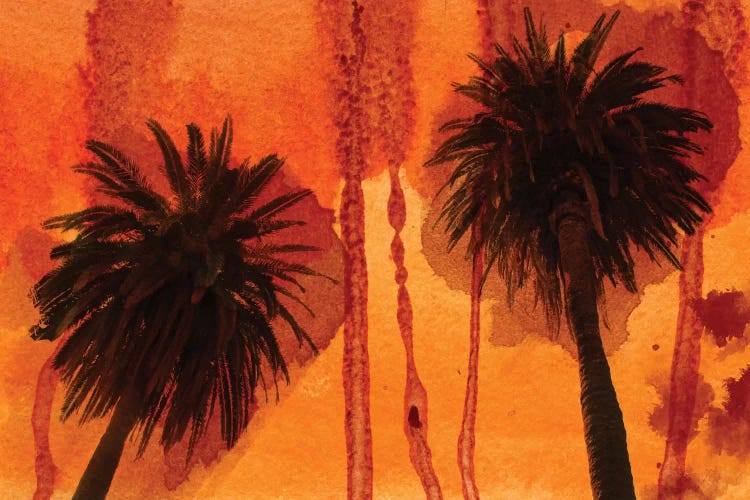 Sunset Palms by Irena Orlov wall art