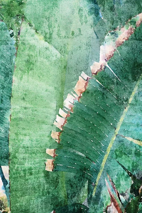 Palm Leaves In The Sun I