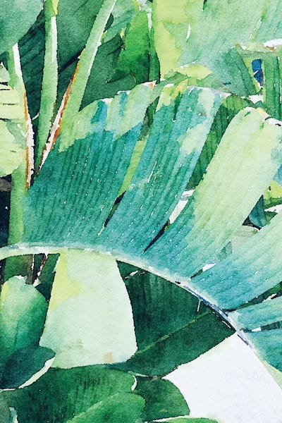 Palm Leaves In The Sun II by Irena Orlov framed wall art