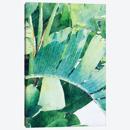 Palm Leaves In The Sun II Canvas Print #ORL523} by Irena Orlov Canvas Art Print
