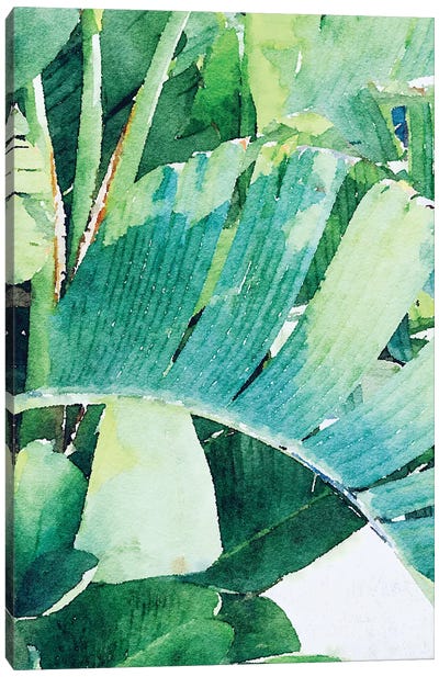 Palm Leaves In The Sun II Canvas Art Print - Irena Orlov