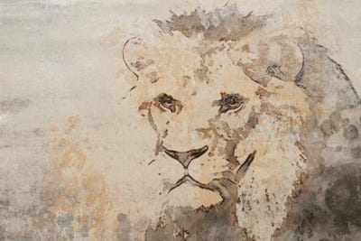 Rustic Lion by Irena Orlov framed wall art