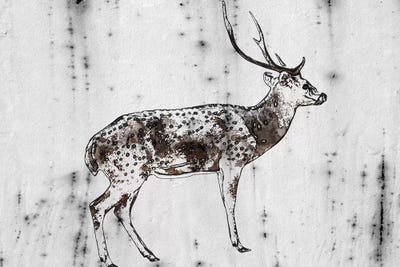 Wild Dear I by Irena Orlov framed wall art