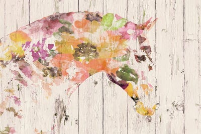 Floral Boho Horse II-V by Irena Orlov framed wall art