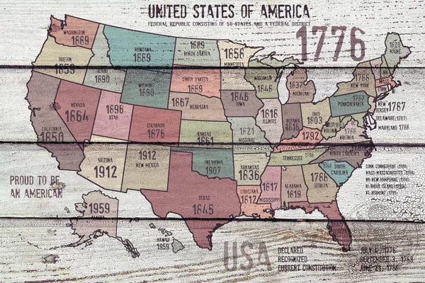 American Décor: The United States Of America Map III by Irena Orlov