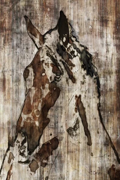 Modern Farmhouse Living Room: Thumper by Irena Orlov