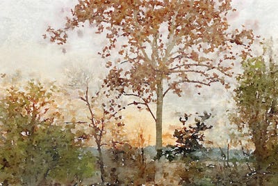 Quiet Place II by Irena Orlov framed wall art