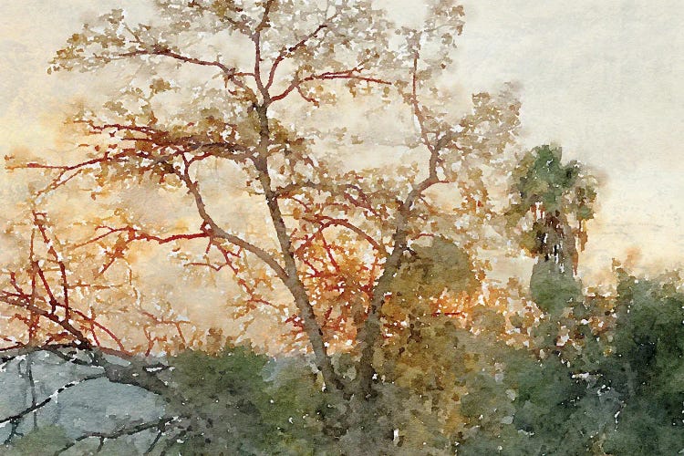 Quiet Place III by Irena Orlov wall art