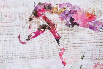 Running Boho Horse by Irena Orlov framed wall art