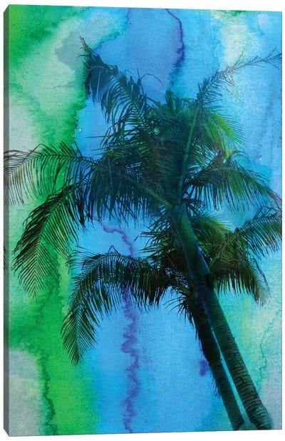 Tropical Beauty Canvas Art Print - Irena Orlov