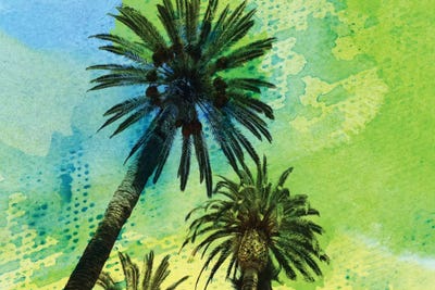 Two Palm Trees by Irena Orlov framed wall art