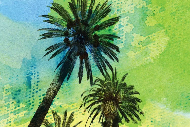 Two Palm Trees by Irena Orlov wall art