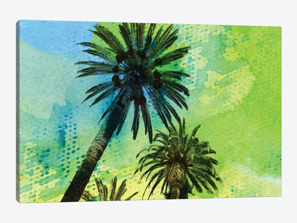 Two Palm Trees by Irena Orlov 1-piece Canvas Print