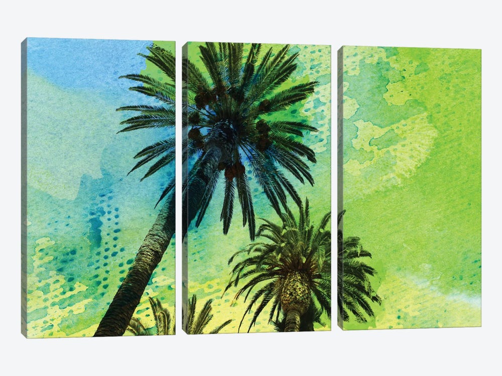 Two Palm Trees by Irena Orlov 3-piece Canvas Art Print
