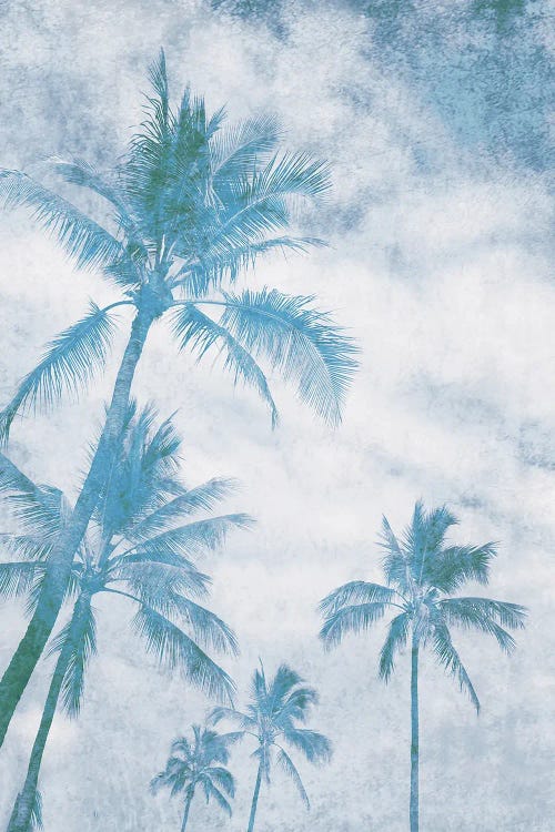 California Blue Beach Palm Trees I