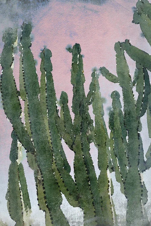 Desert Cactus I by Irena Orlov wall art