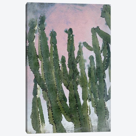 Desert Cactus I Canvas Print #ORL647} by Irena Orlov Art Print