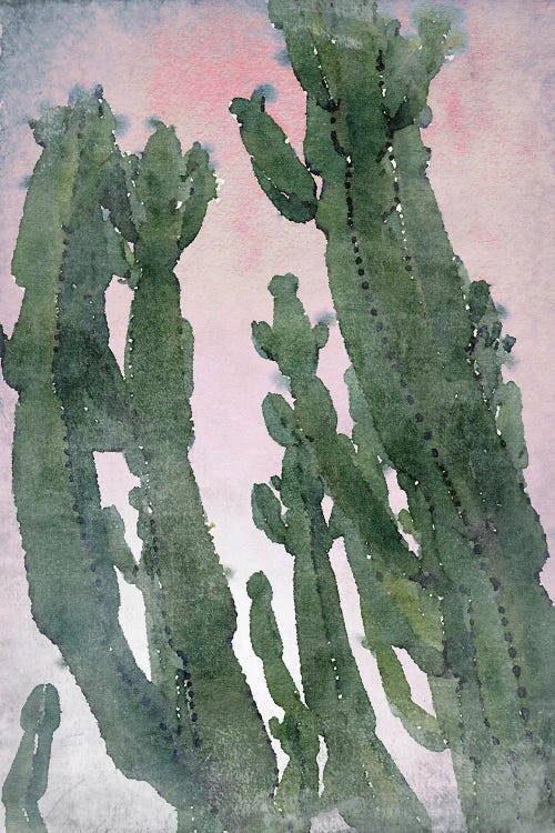Desert Cactus II by Irena Orlov canvas print