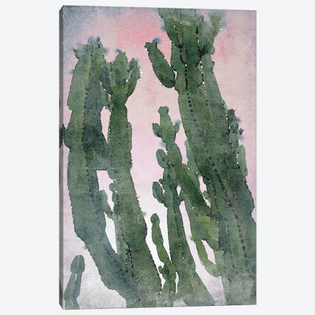 Desert Cactus II Canvas Print #ORL648} by Irena Orlov Canvas Artwork
